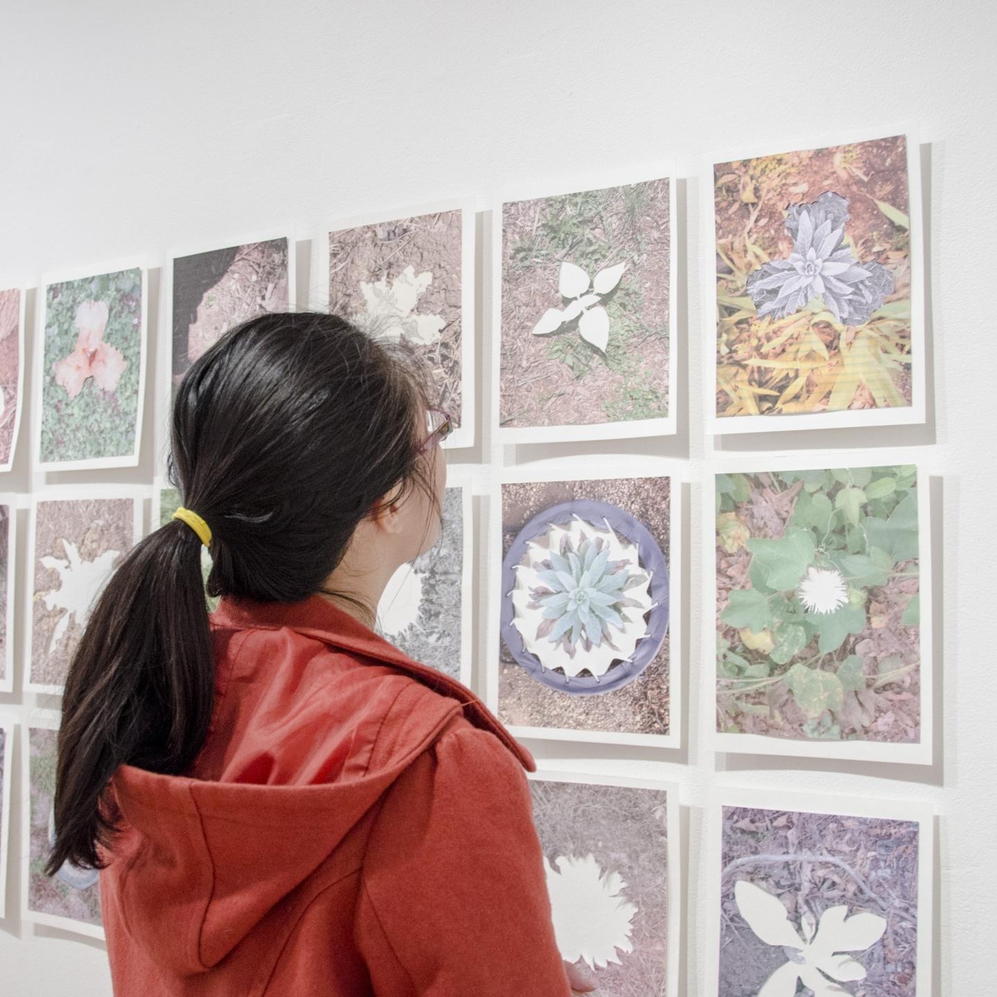 Student admiring gallery wall of art